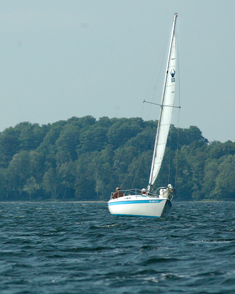 South Manistique Lake Curtis Michigan