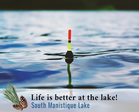 South Manistique Lake Information